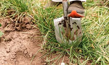Forestry Mulching