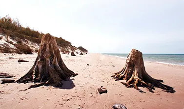LIVING<br />
SHORELINES